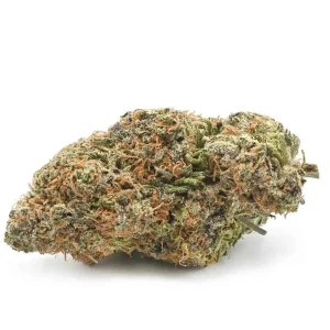 Buy Girl Scout Cookies Strain in Denmark