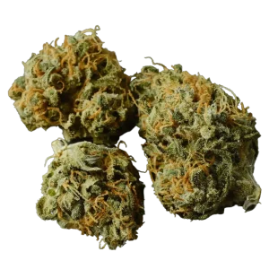 Buy Gorilla Glue Strain in Denmark