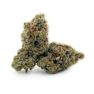 Buy OG Kush strain in Denmark