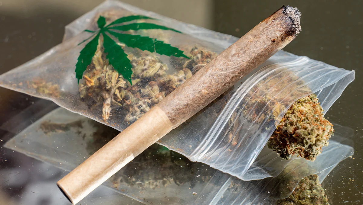 How to Buy Weed in Denmark Safely